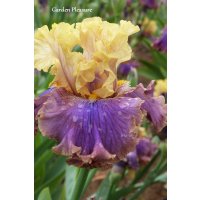 0129 - GARDEN PLEASURE  -  a.Mego  2011