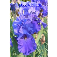 606 - JAZZ ME BLUE  - Schreiner  1993