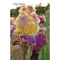 HIGH MASTER  - Blyth  - 2000